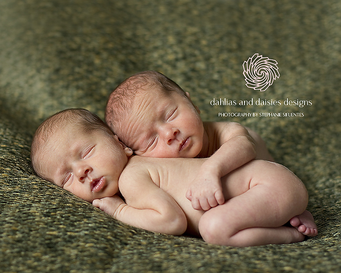 Dallas Newborn Twin Photographer