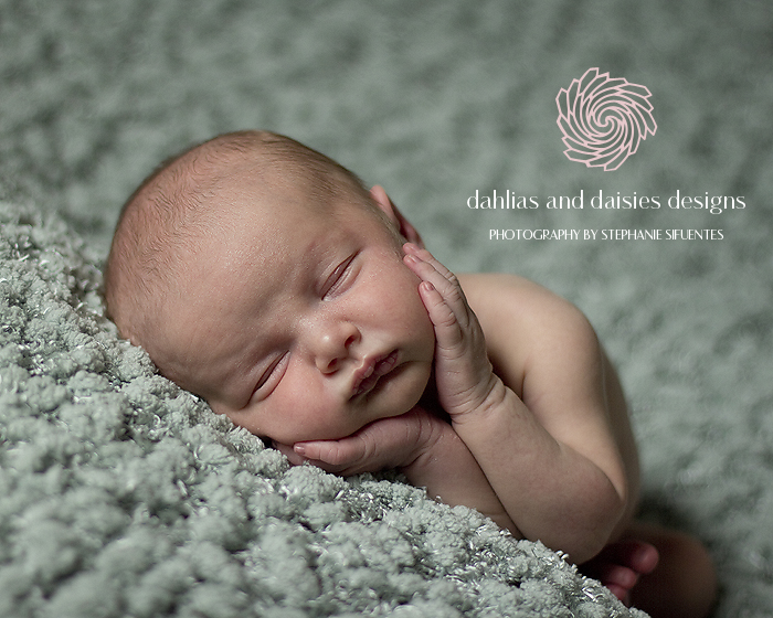Dallas Newborn Baby Photographer