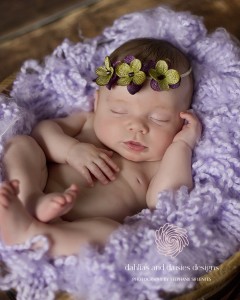 Dallas Newborn twin photographer