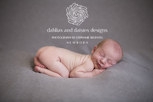 Dallas Newborn Twin Photographer