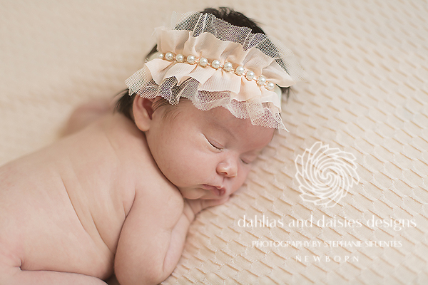Dallas Newborn Baby Photographer