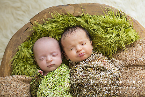 Dallas newborn twin photographer