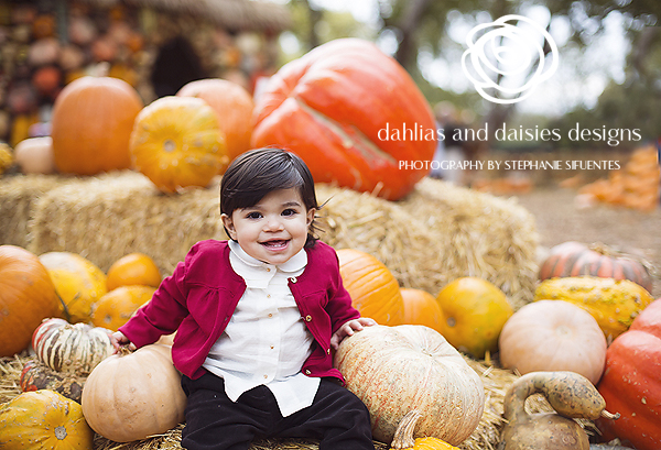 Dallas Family Photographer Dallas Arboretum Pumpkins