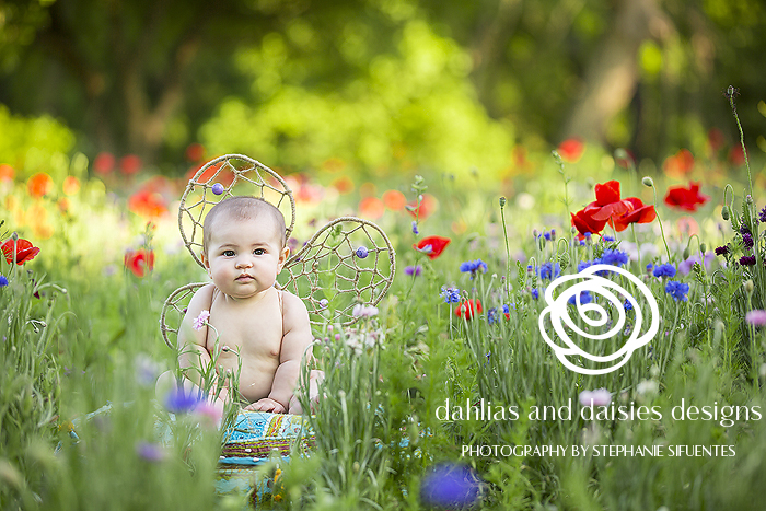 Dallas Baby and Family Photographer