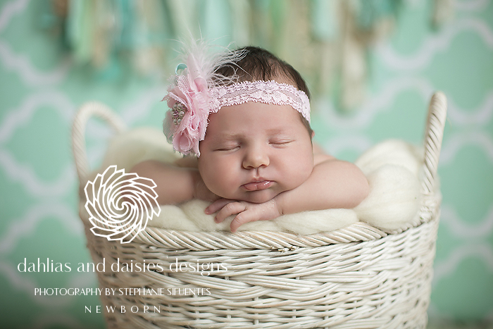Dallas newborn Photographer