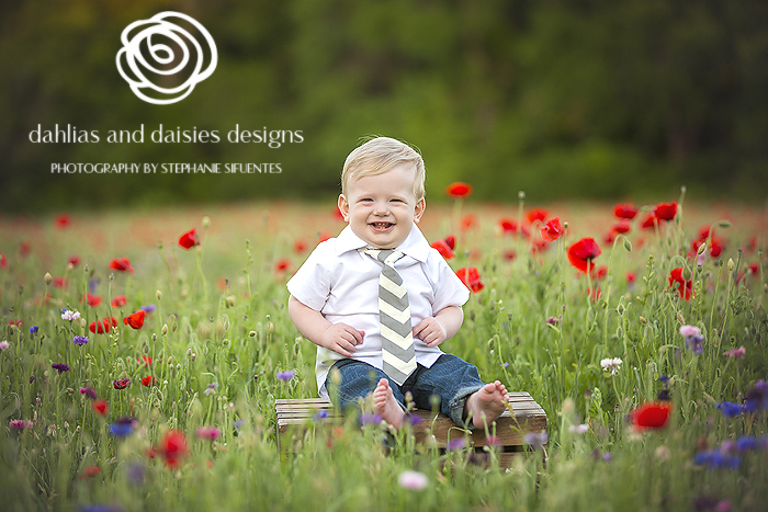 Dallas Baby Photographer Wildflowers