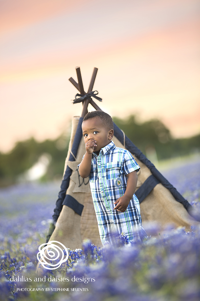 Dallas Baby Photographer Bluebonnets