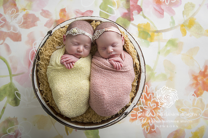 Dallas newborn twin photographer