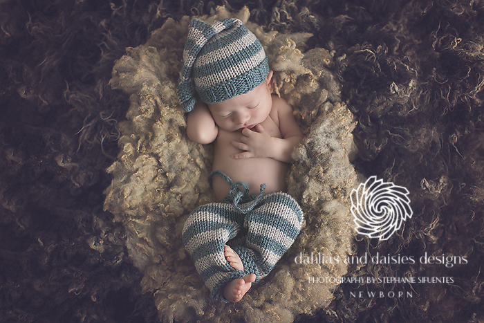 Highland Park Newborn Photographer
