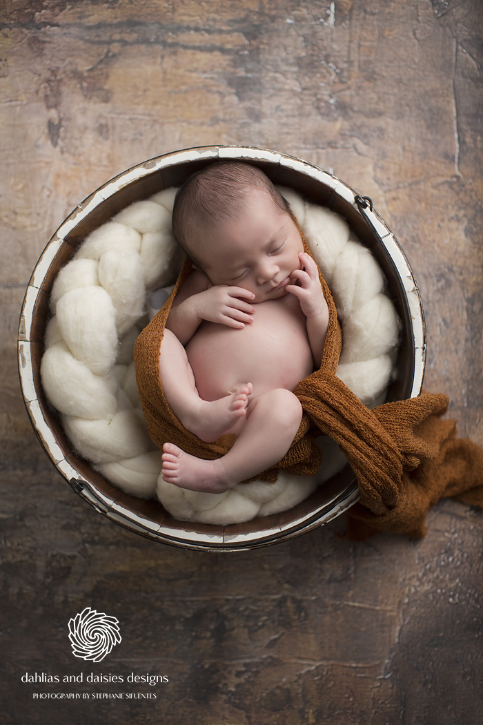 Plano Newborn Photographer