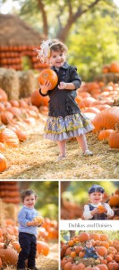 Dallas Arboretum Pumpkin Pictures