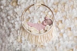 Plano Twins Newborn Infant Photographer