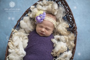 Dallas Newborn Sibling Photographer