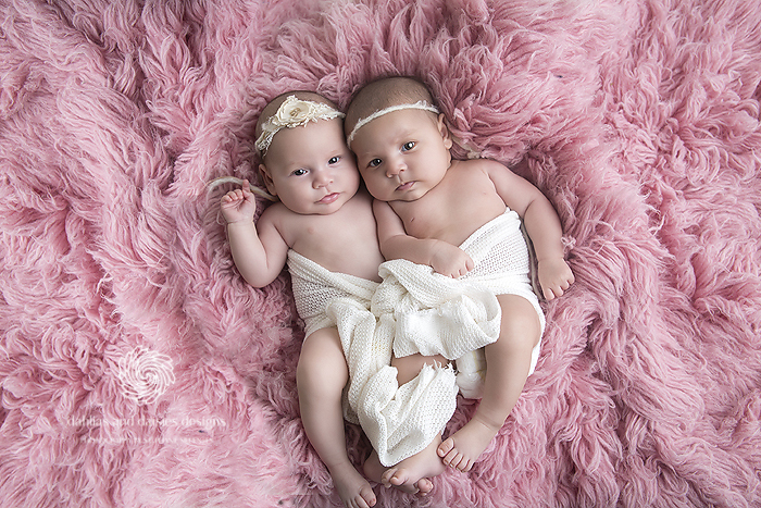 Plano Twins Newborn Infant Photographer