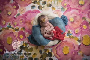 Dallas Newborn Infant Twin Photographer