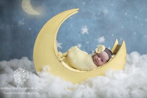 Dallas Newborn Infant Twin Photographer