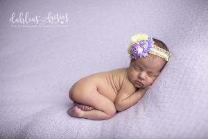 Frisco Newborn Photographer