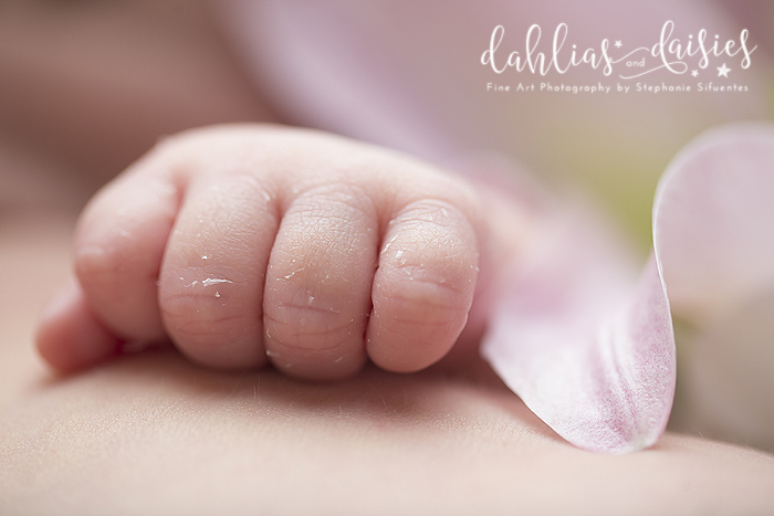 Dallas newborn photographer