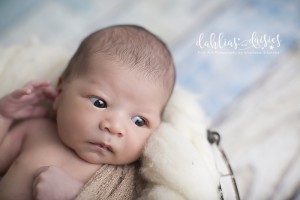 Allen Newborn Photographer