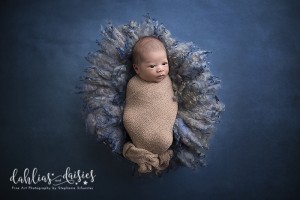 Allen Newborn Photographer