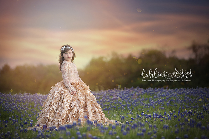 Dallas child photographer