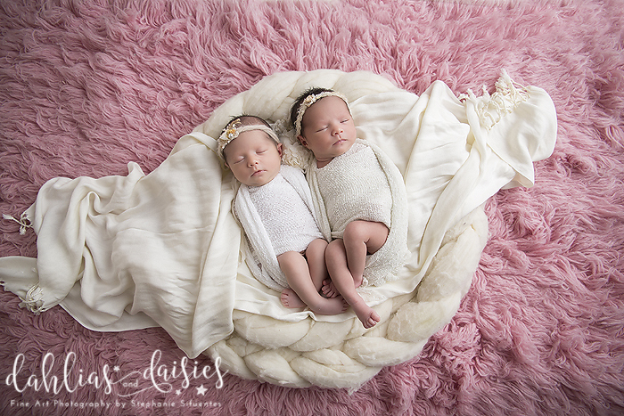 Dallas Twin Newborn Photographer