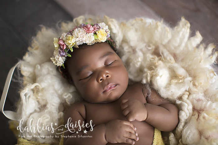 Allen Infant Newborn Photographer