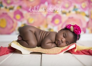 Plano Infant Newborn Photographer