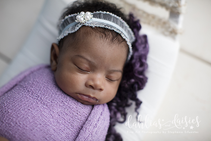 Dallas Newborn Infant Photographer