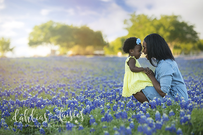Dallas Baby Family Bluebonnet Photographer