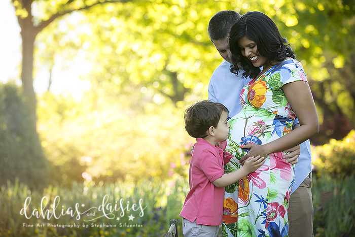 Dallas Maternity Photographer - Dallas Arboretum