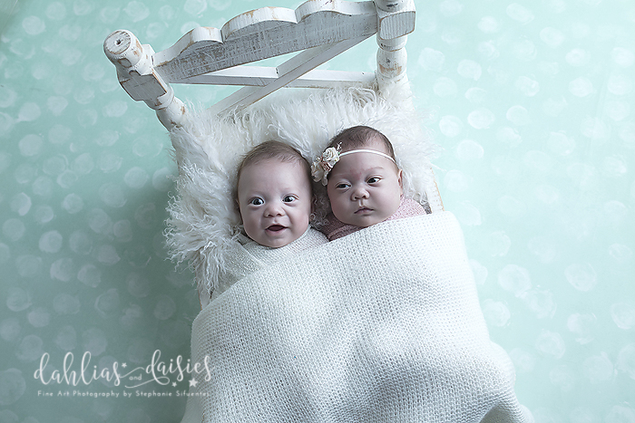 Dallas newborn twin Photographer