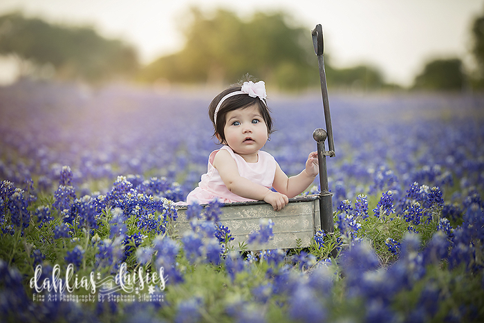 Dallas baby Photographer