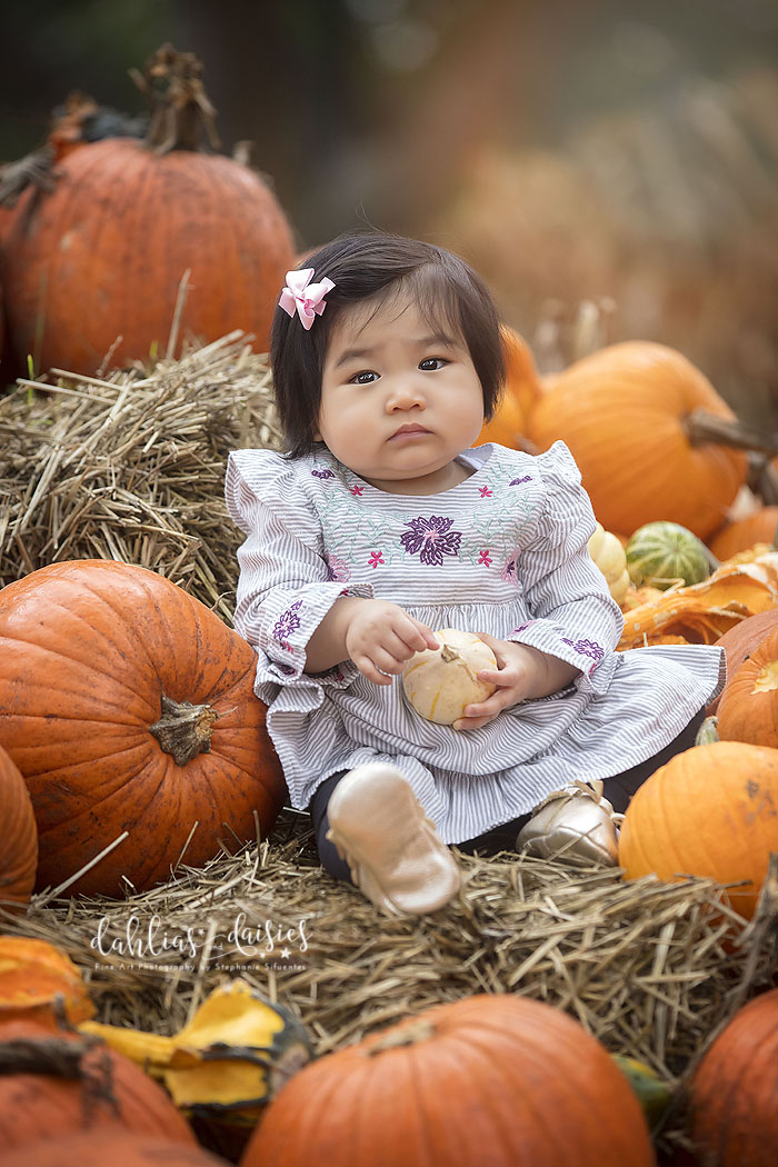 Dallas Pumpkin Patch Photographer