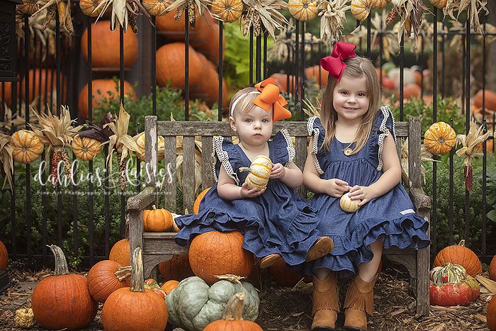 Dallas Pumpkin Patch Photographer