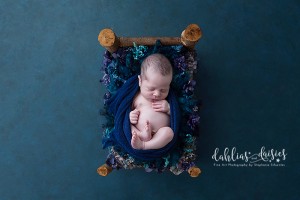 Dallas Newborn Photographer