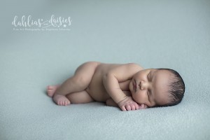 Plano Newborn Photographer