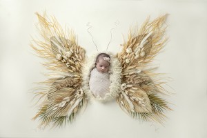 Plano newborn photographer
