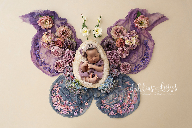 Newborn as purple floral butterfly at newborn photography session 