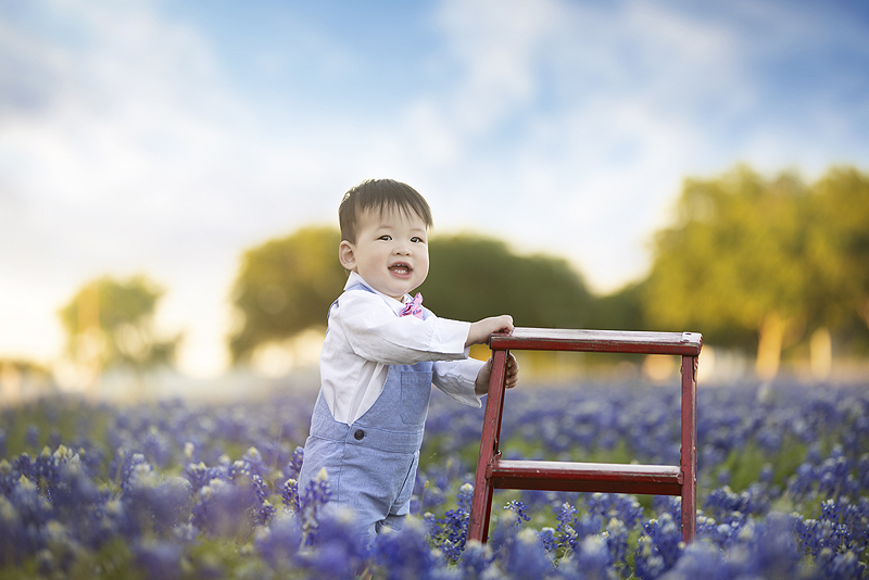 Baby in bluebonnet field