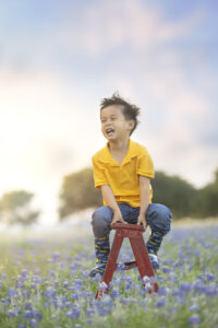 Boy sits on ladder in bluebonnet field
