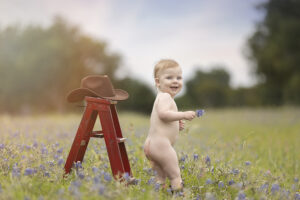 Toddler boy in bluebonnet field