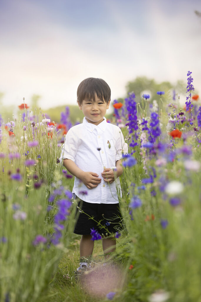 Boy stands in wildflower field