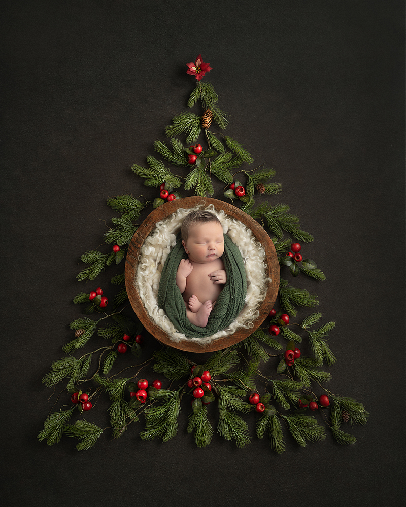 Newborn boy rests in basket surrounded by christmas tree